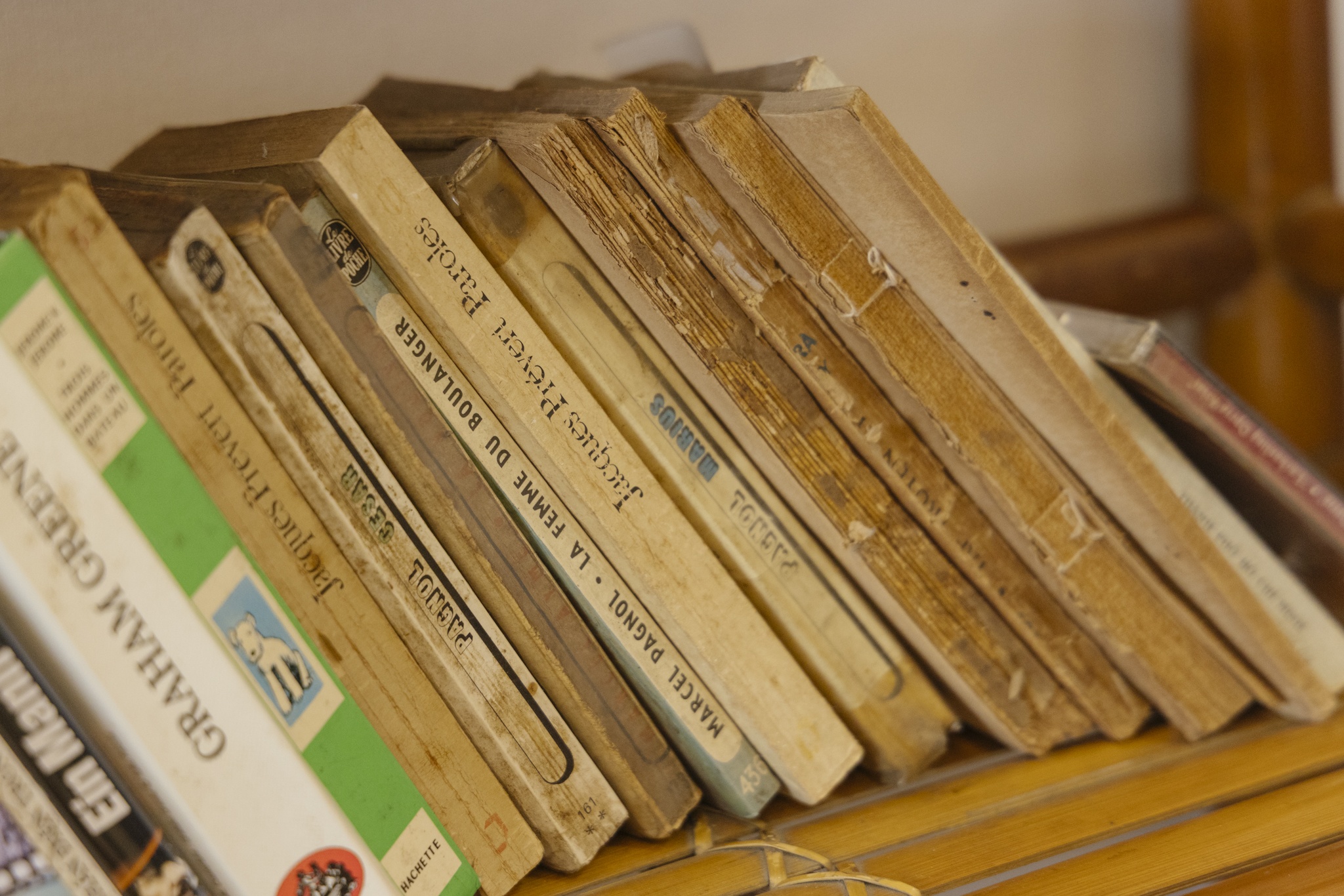 xuân phượng ảnh 17 xuan phuong anh 17