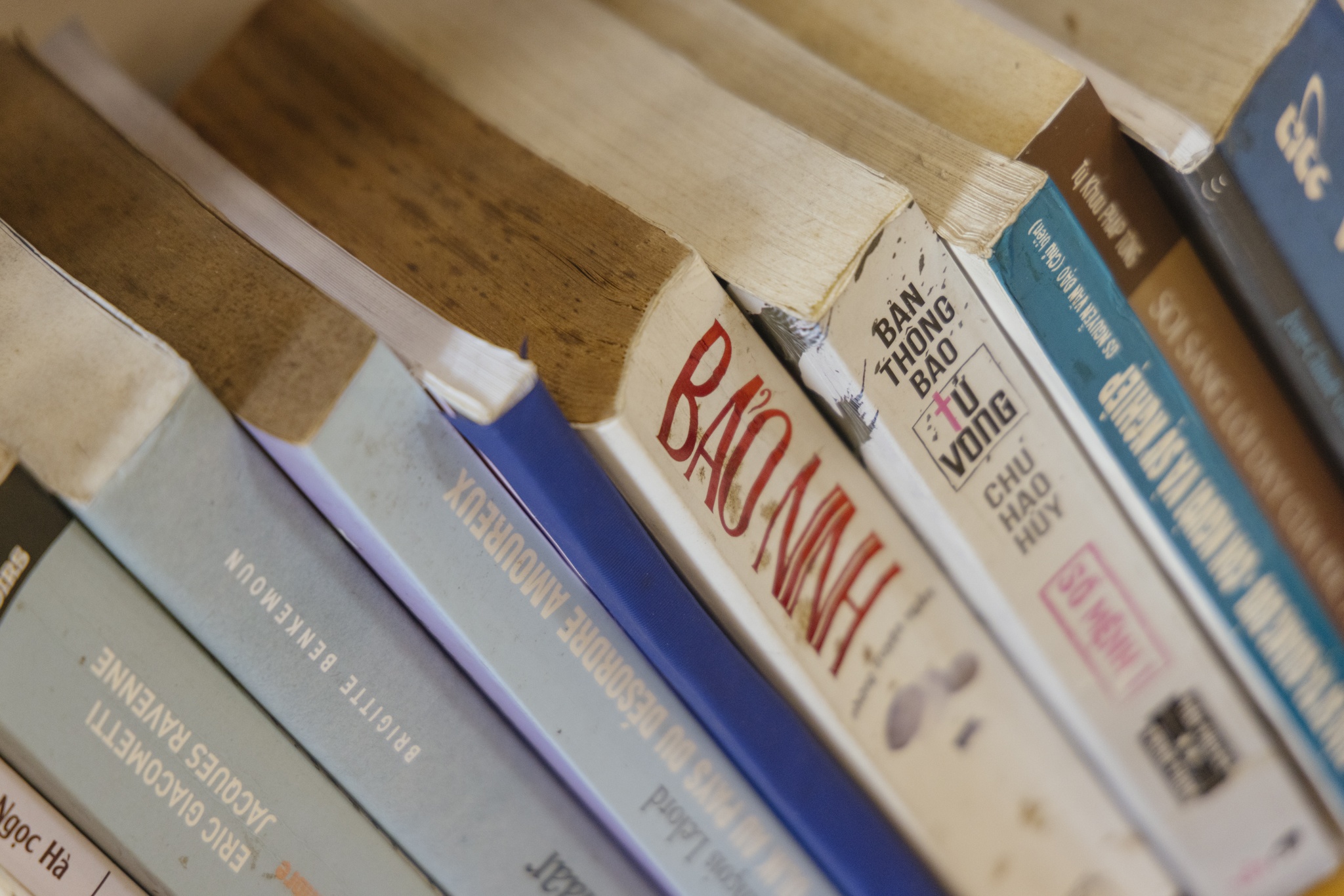 xuân phượng ảnh 15 xuan phuong anh 15