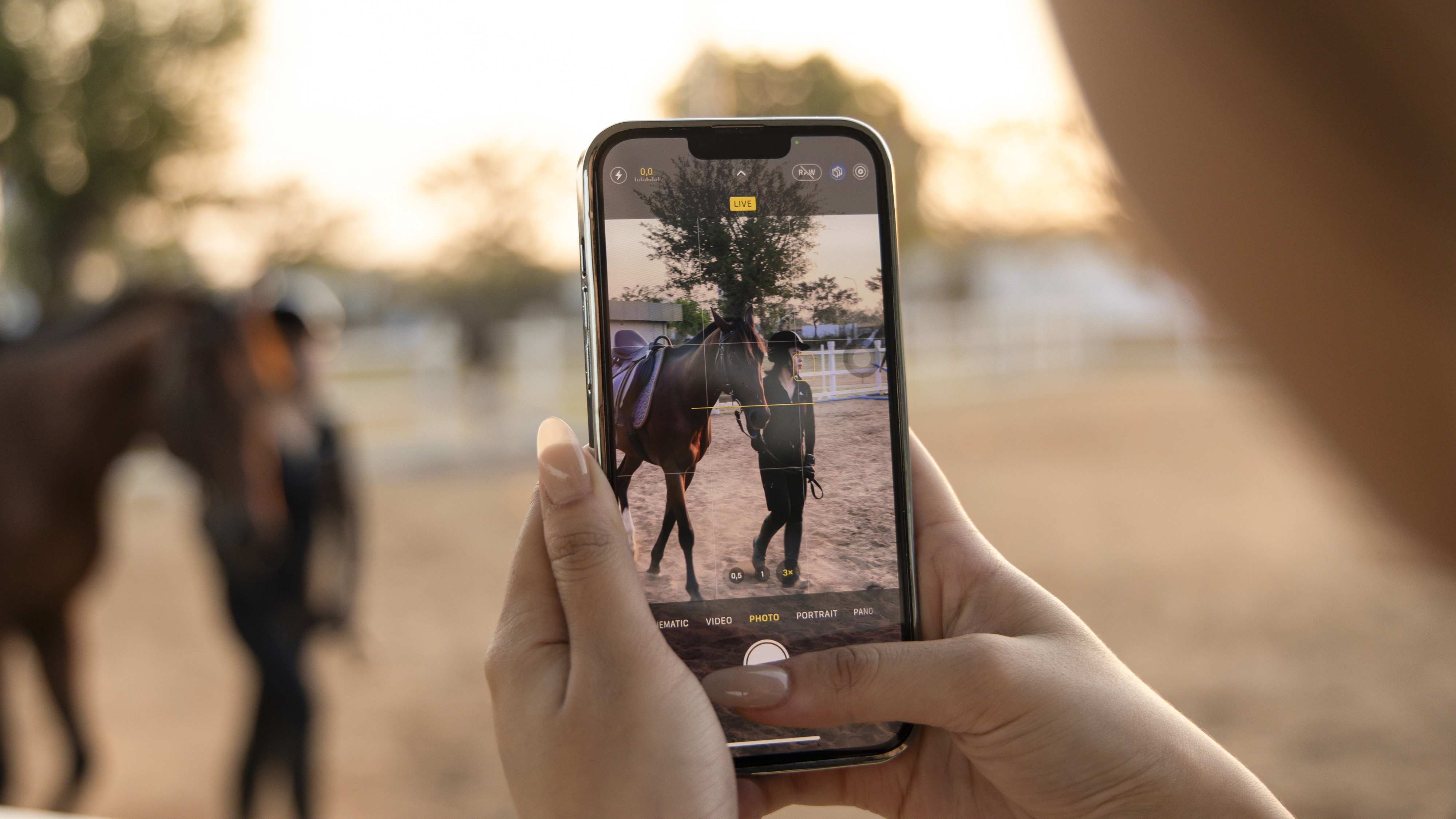 The Global City ảnh 18 The Global City anh 18