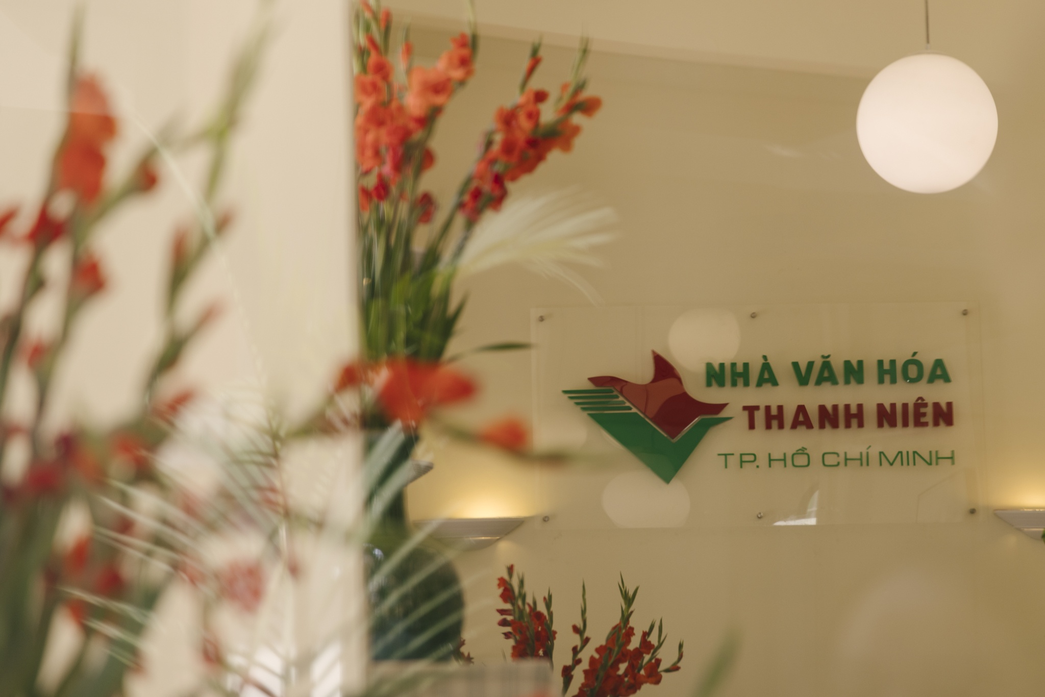 Nha Van hoa Thanh nien anh 8