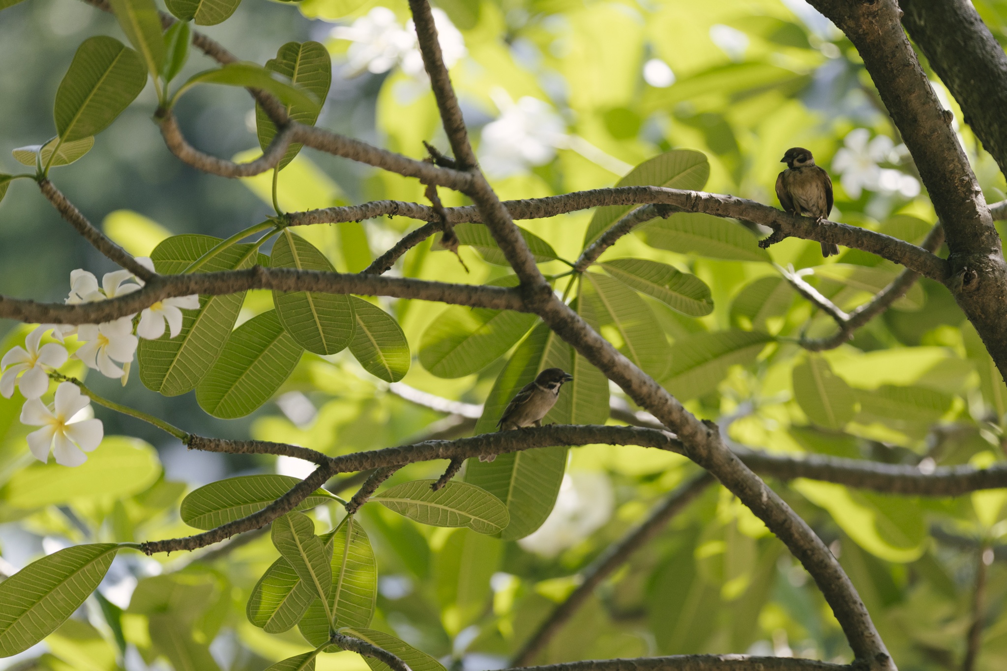Nha Van hoa Thanh nien anh 7