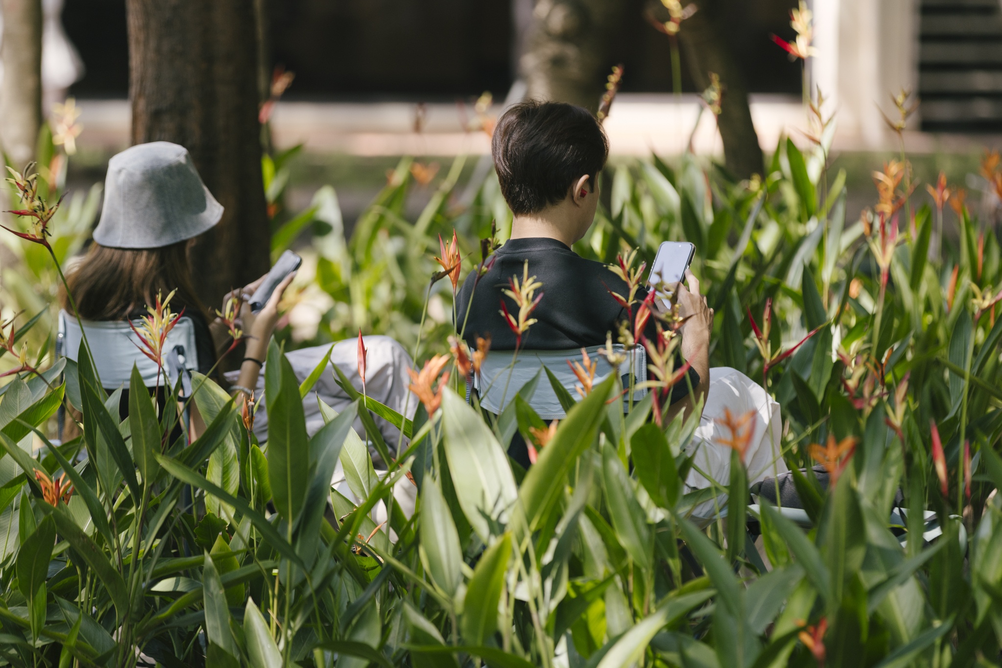 Nha Van hoa Thanh nien anh 10