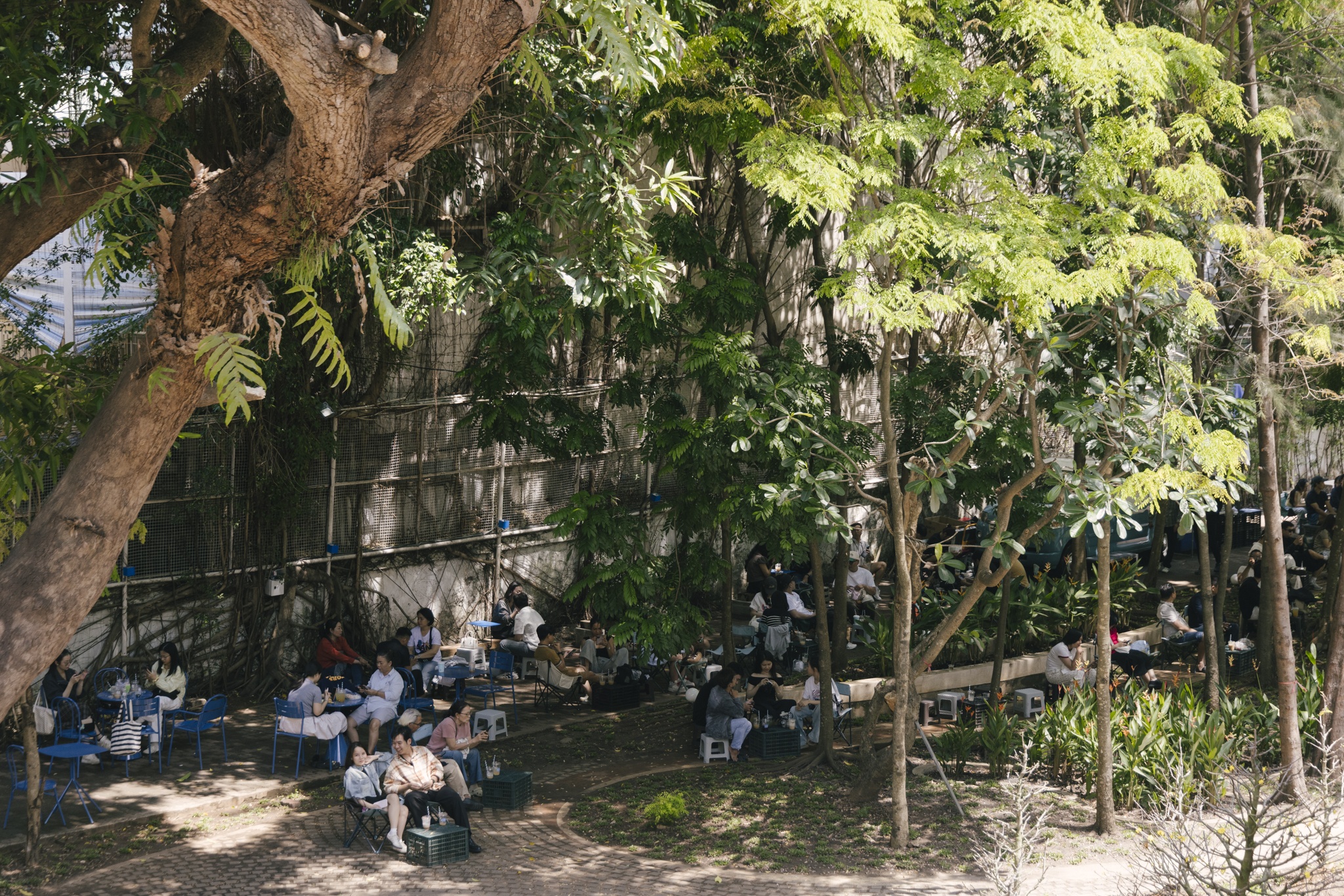 Nha Van hoa Thanh nien anh 13