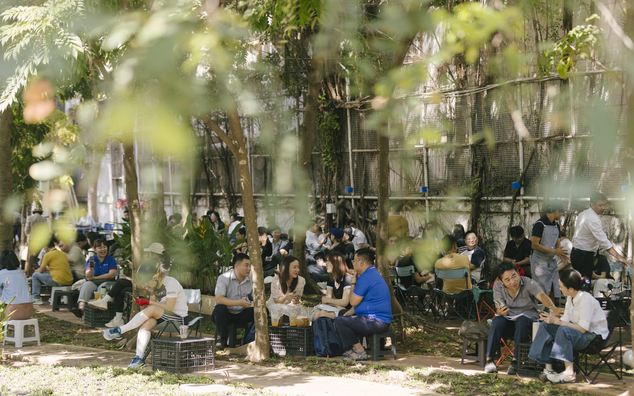 Nha Van hoa Thanh nien anh 1