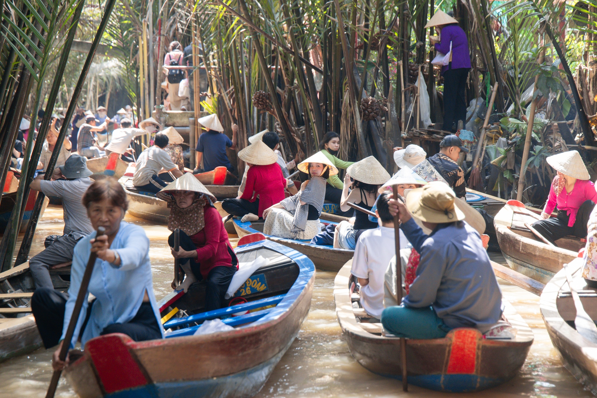 cồn Thới Sơn ảnh 8