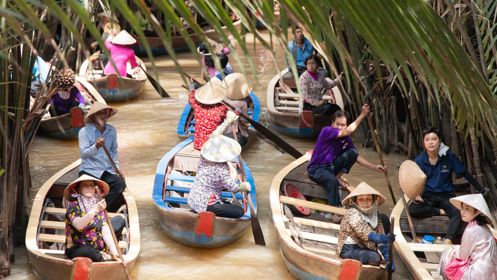 Cồn Thới Sơn ảnh 19 Cồn Thới Sơn ảnh 19
