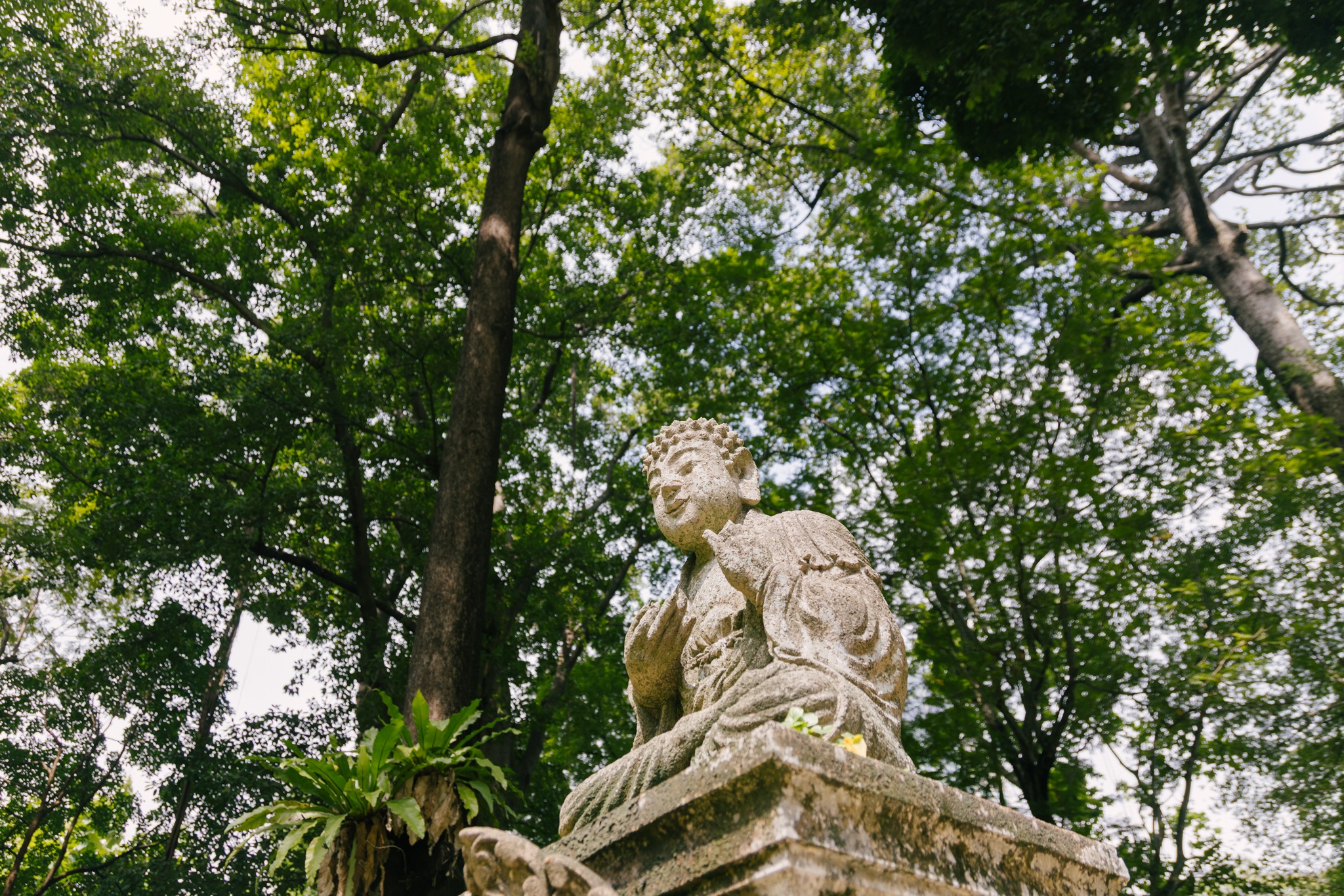 Dinh thự Ph&aacute;p ảnh 12