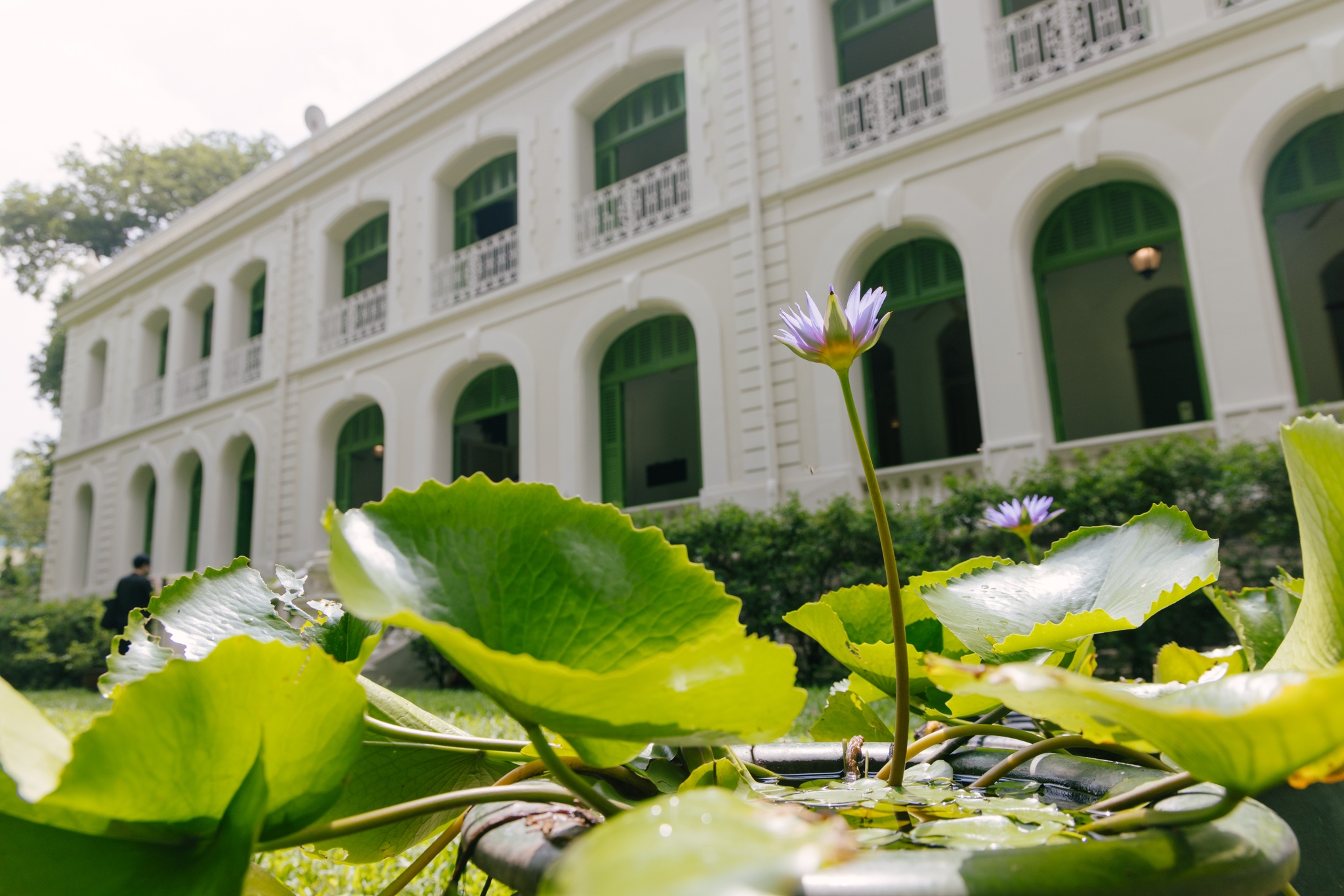 Dinh thự Ph&aacute;p ảnh 1
