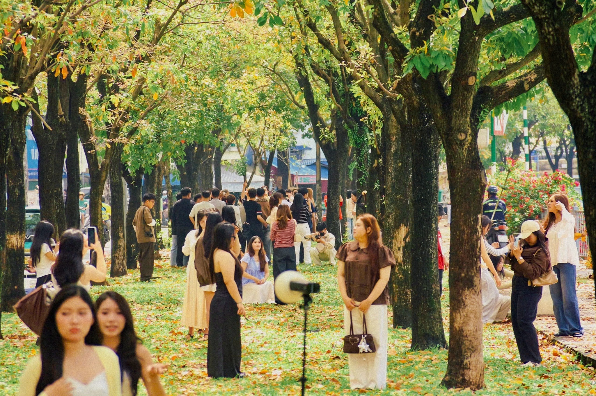 TP.HCM ảnh 4