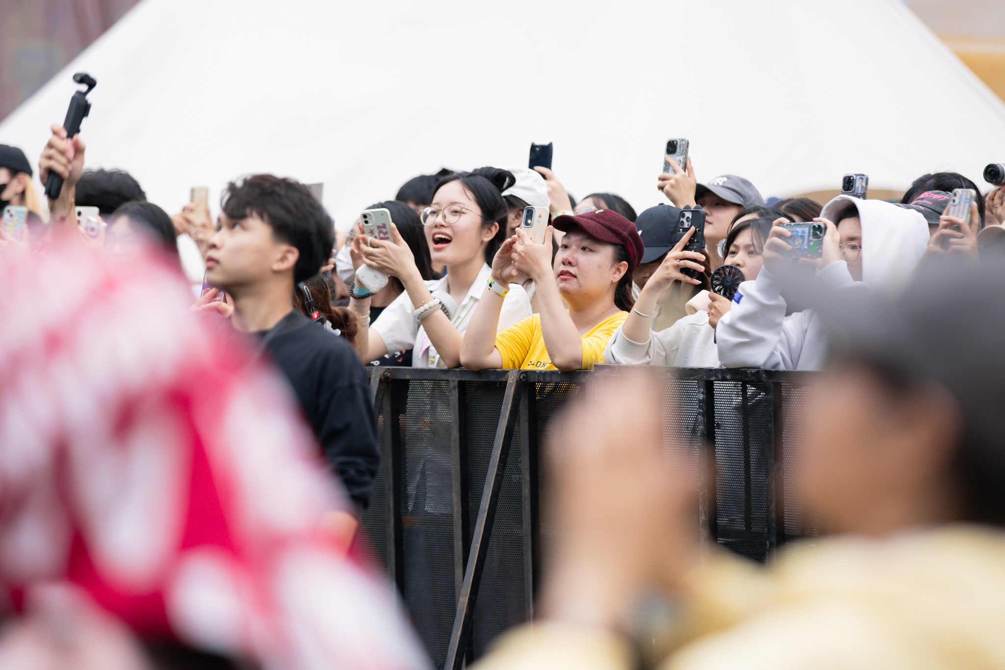 TikTok Food Fest ảnh 14