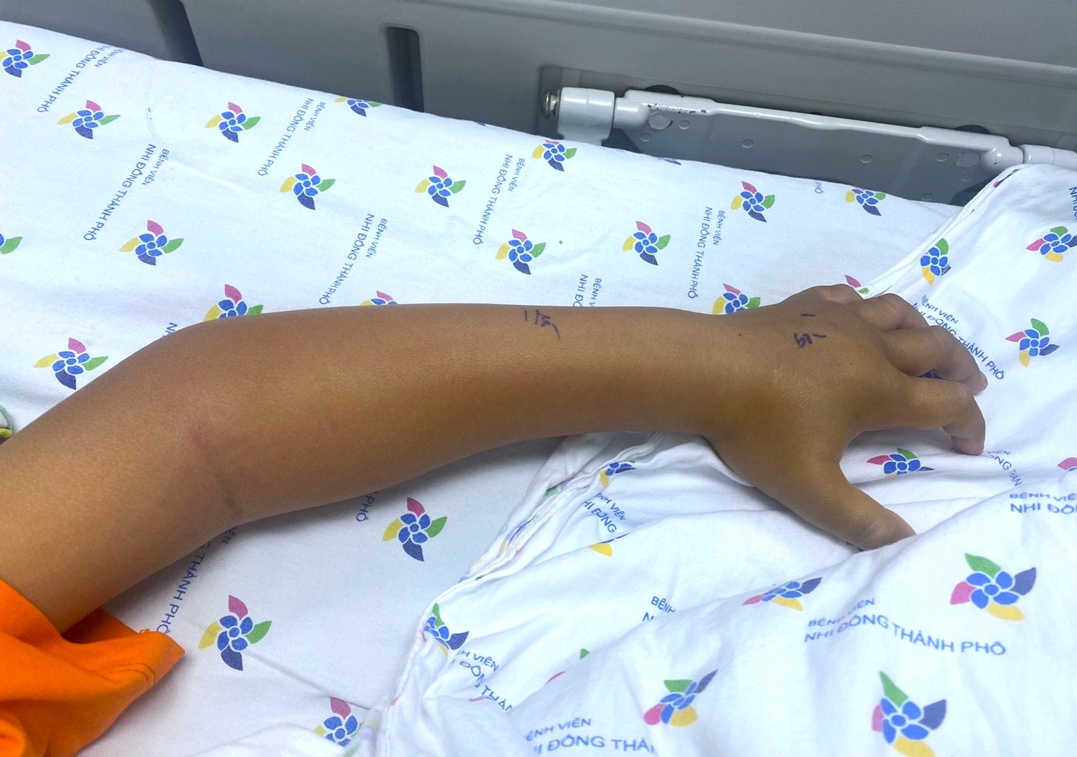 ran luc duoi do anh 1