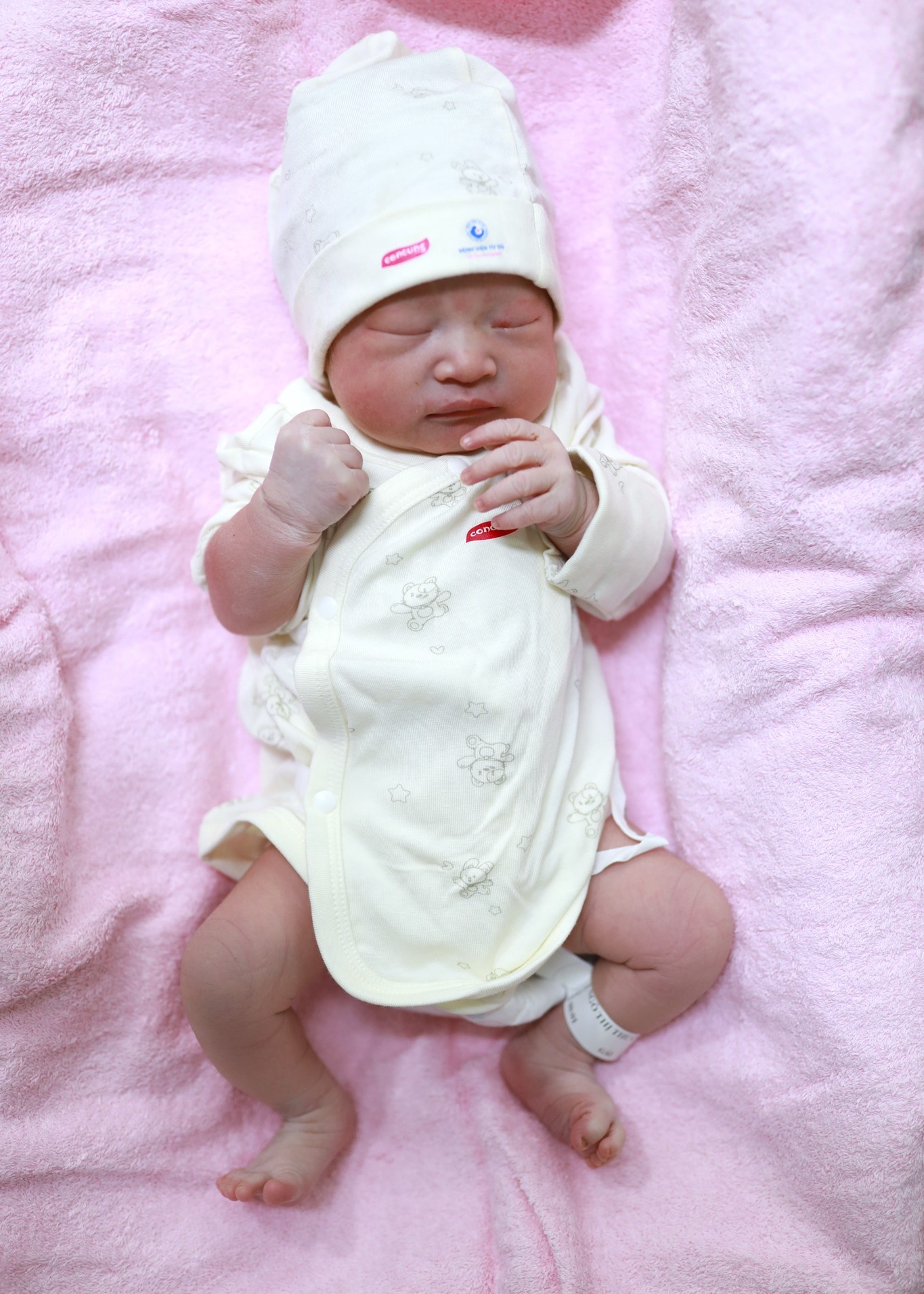 khoảnh khắc 2024 ảnh 7 khoanh khac 2024 anh 7