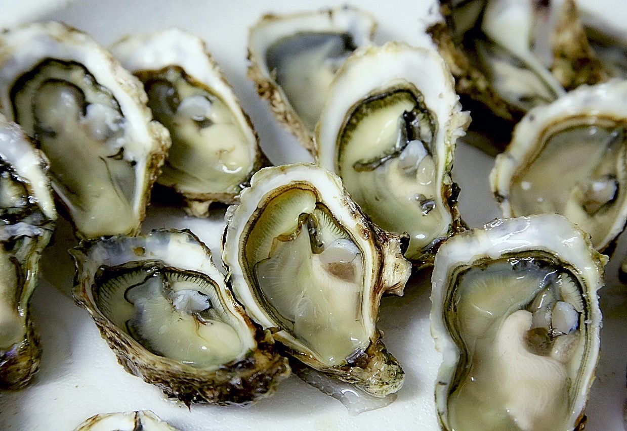 Nhap vien vi an 10 con hau moi ngay de cai thien sinh ly hinh anh