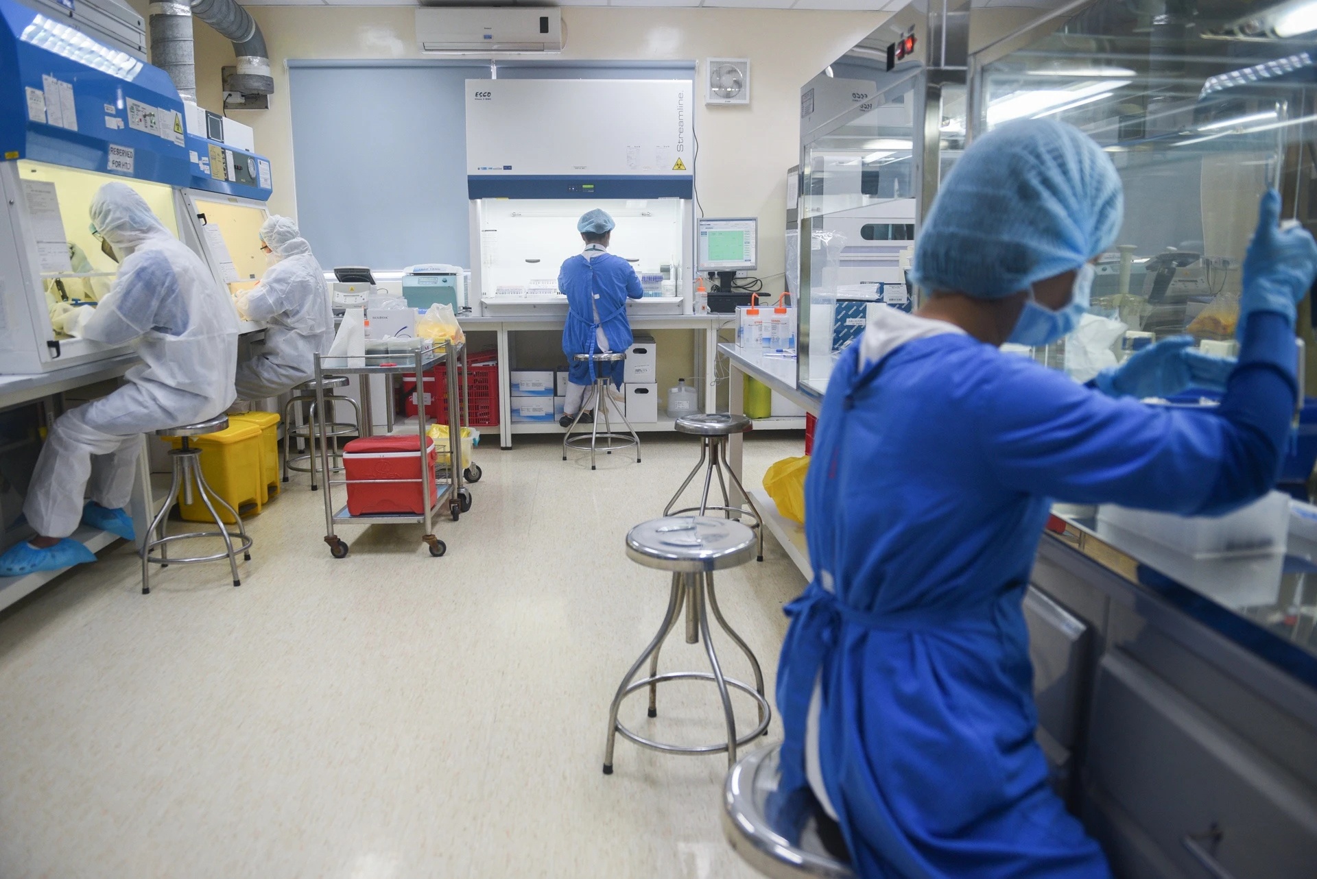 nhiem ky sinh trung anh 1