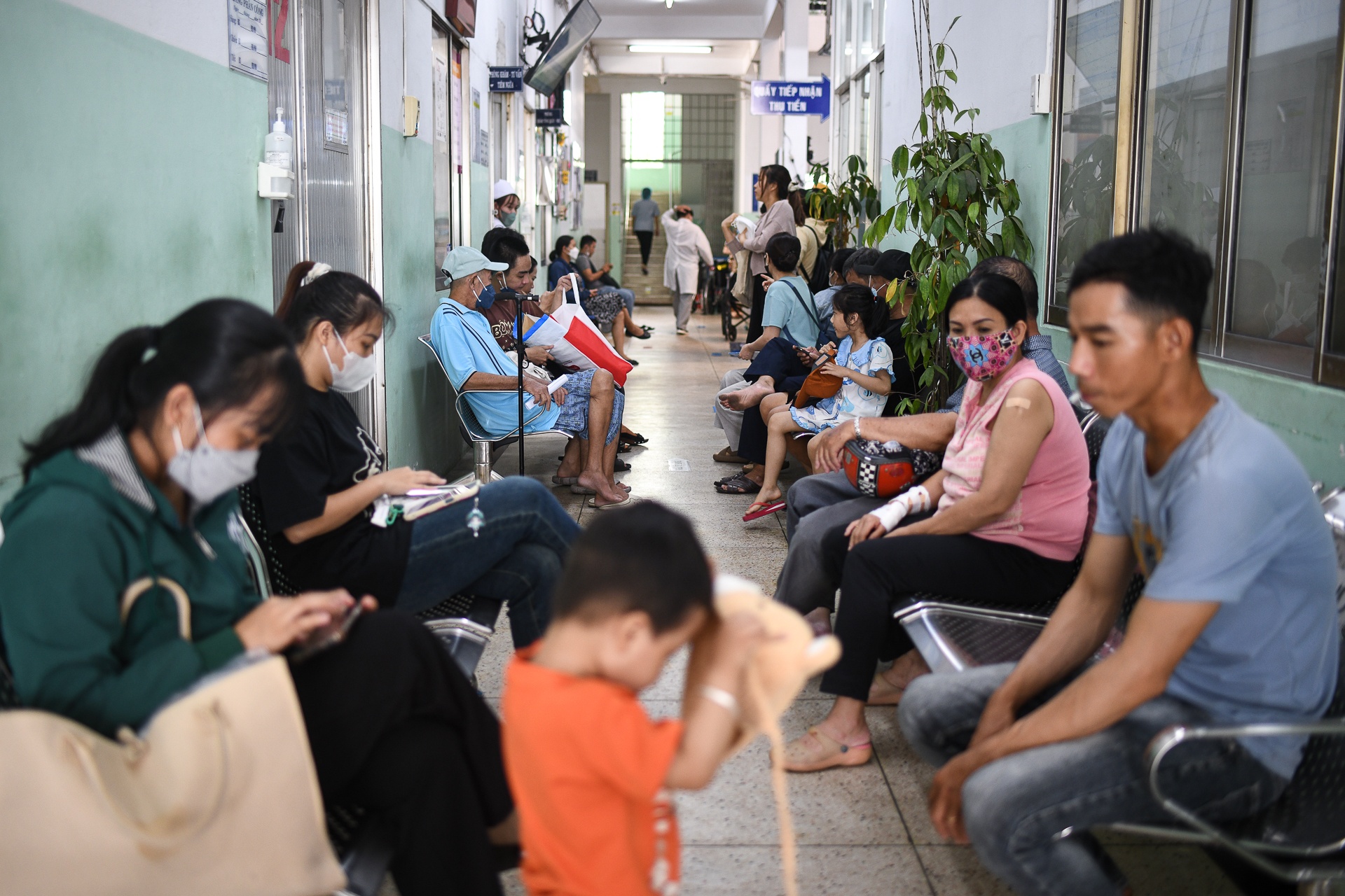 tiem vaccine dai tang cao anh 1