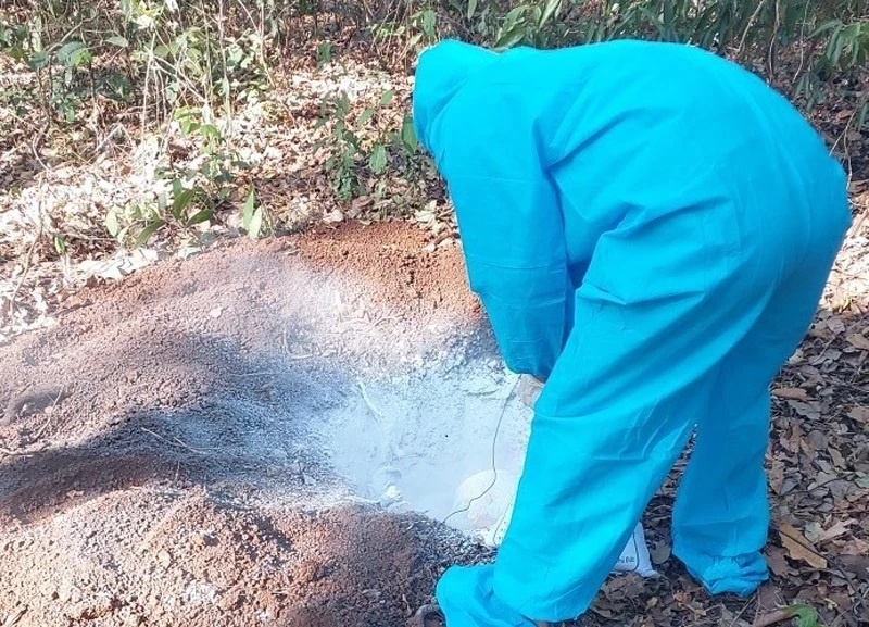 Tiep tuc xuat hien o dich cho dai o Dong Nai hinh anh