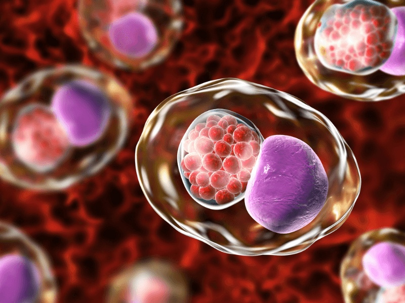 Nguyen nhan va bieu hien cua sot phat ban hinh anh