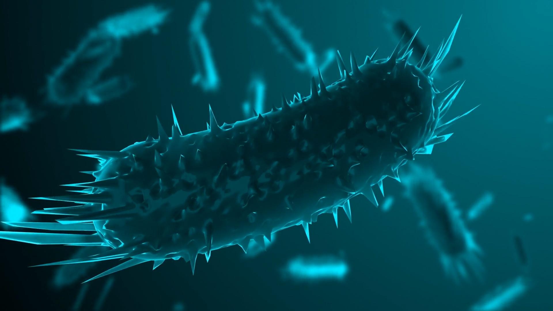 Benh dai nguy hiem nhu the nao va co chua khoi duoc khong? hinh anh