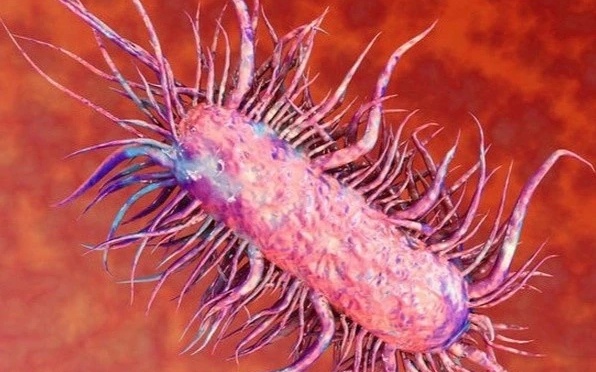 4 nguoi o Quang Ninh nhiem vi khuan 'an thit nguoi' hinh anh