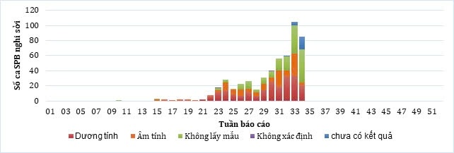 benh soi anh 1