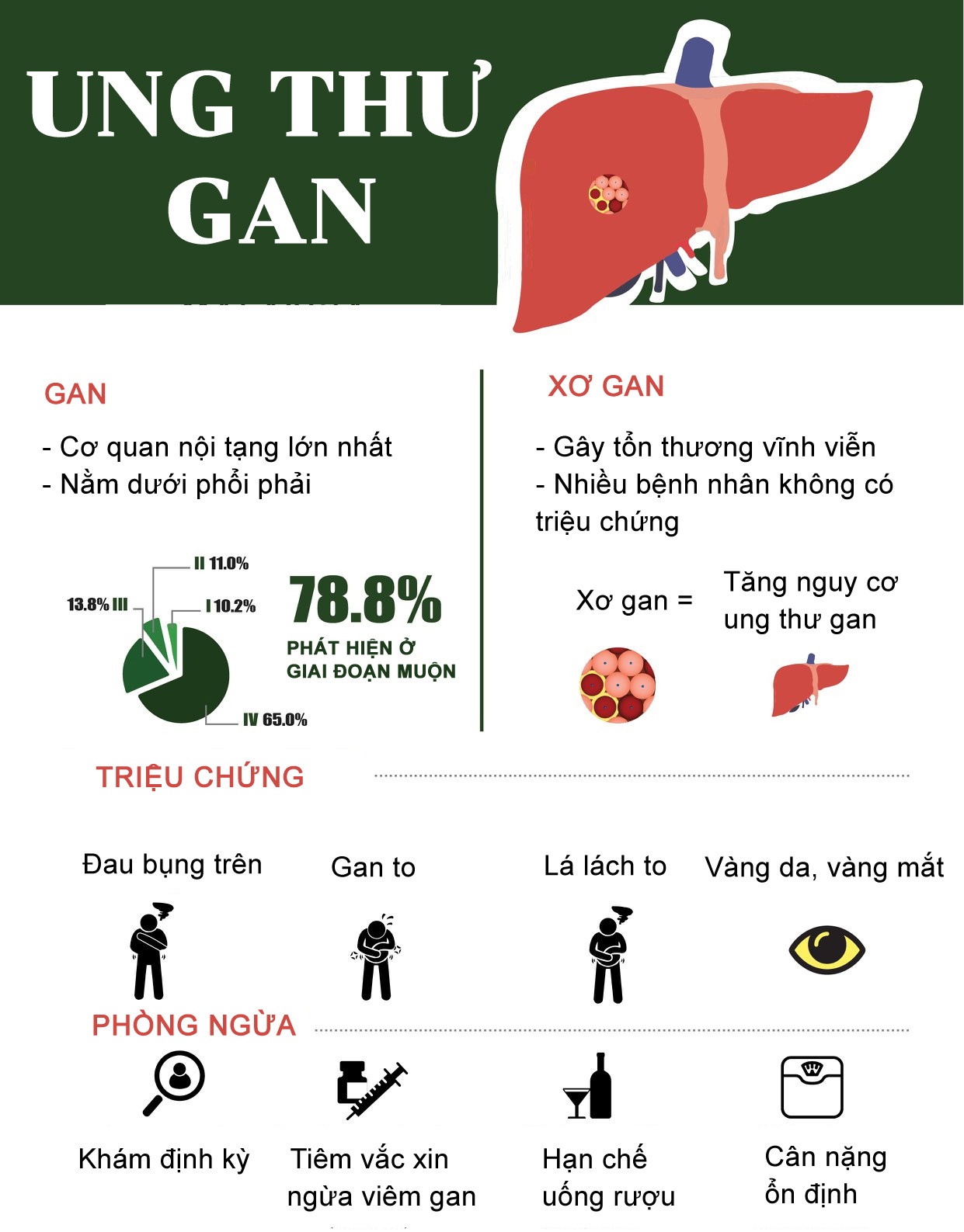dau hieu ung thu gan anh 1