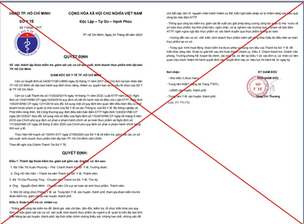 Canh giac voi thu doan gia mao Thanh tra So Y te TP.HCM hinh anh