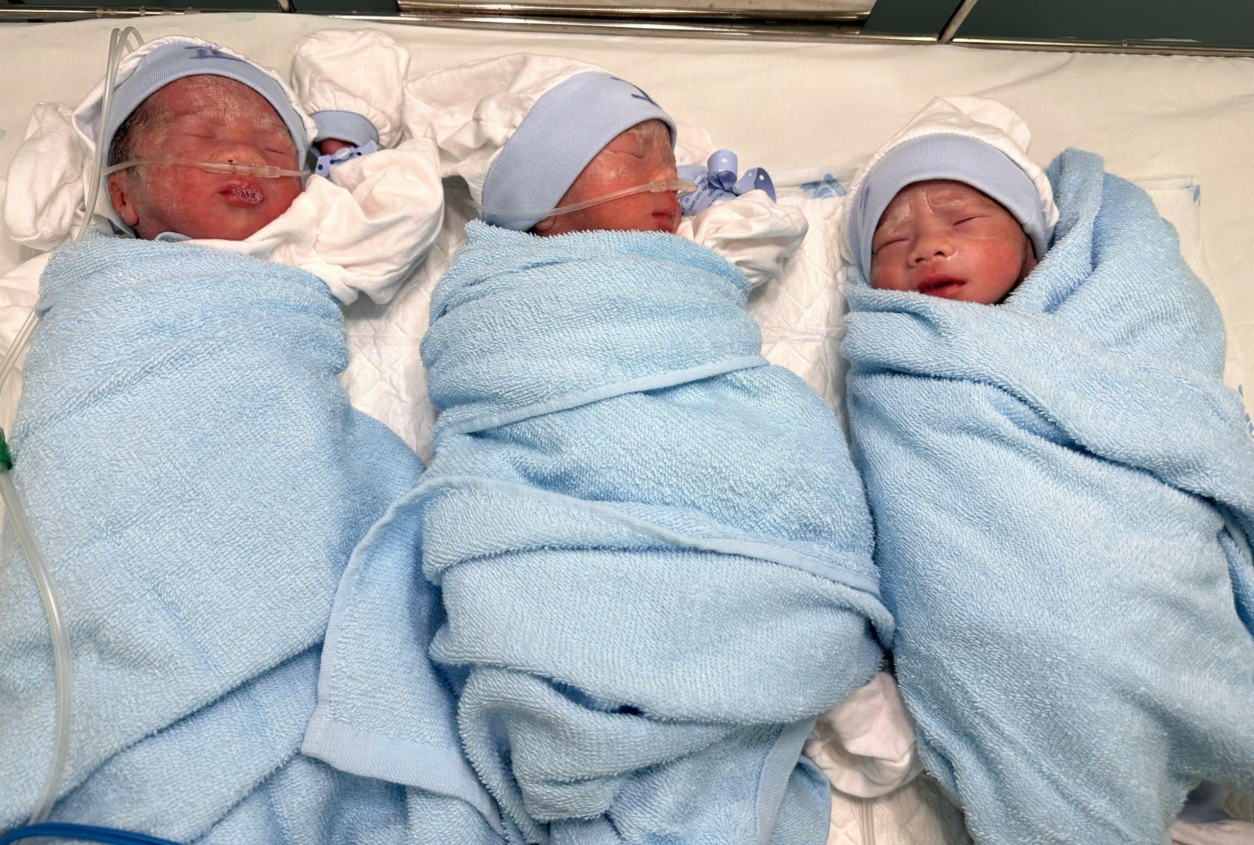 San phu o Dong Nai sinh tam thai hiem gap hinh anh