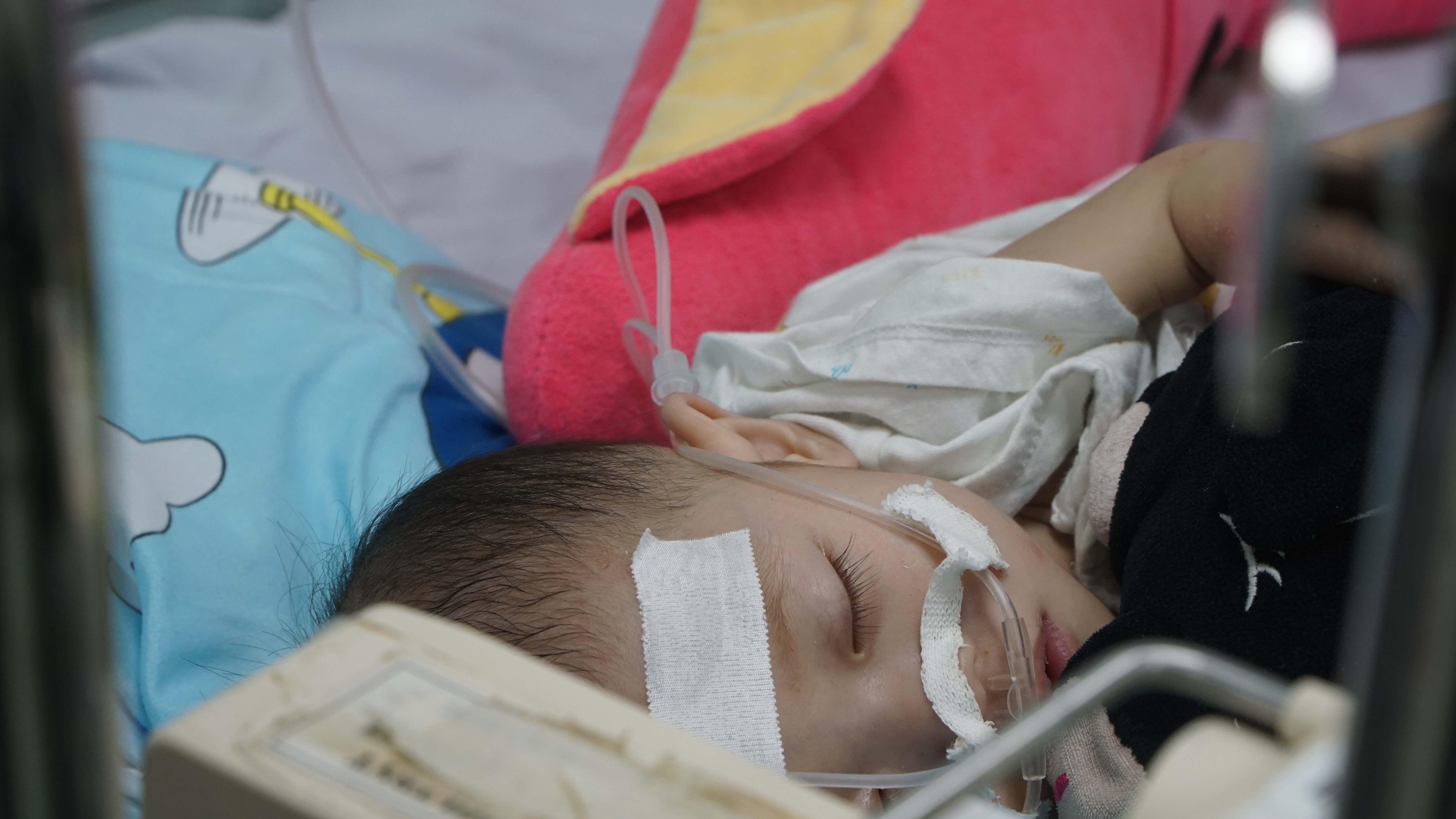 Ca sot xuat huyet o TP.HCM da tang 125% so voi nam ngoai hinh anh