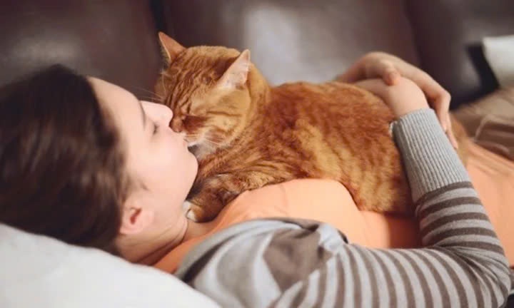 Mang meo hoang ve nuoi, ca gia dinh bi nhiem nam da hinh anh