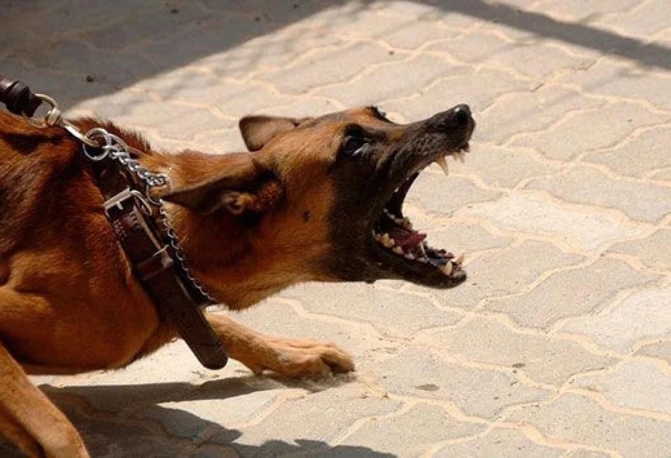 Nguoi da dieu tri du phong khi bi cho dai can co an toan 100%? hinh anh