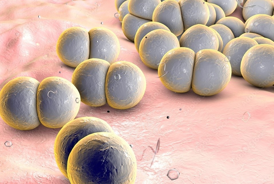 Be trai Dong Nai nguy kich vi vi khuan 'tu than 24h' hinh anh