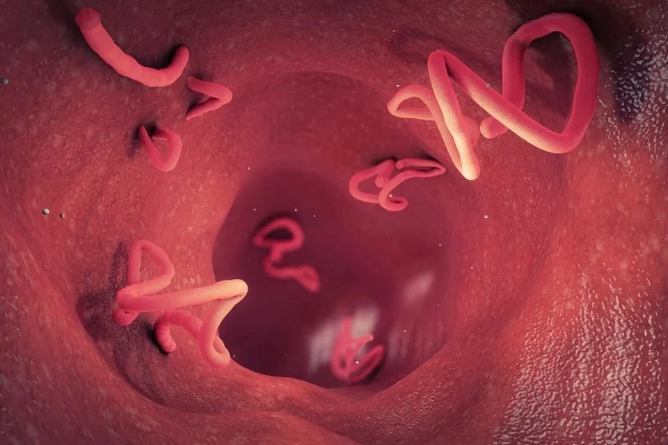 Ke am tham tan cong nao, gay ap xe gan ma nhieu nguoi lang quen hinh anh