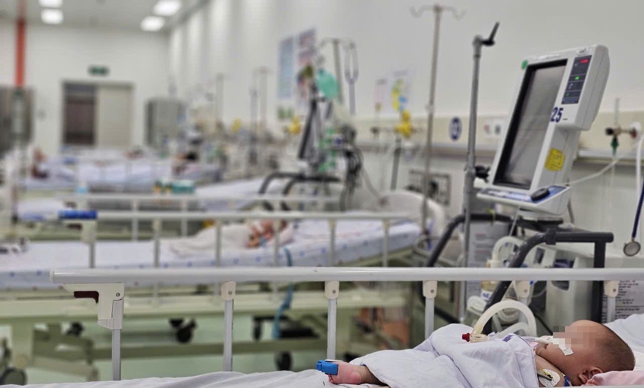 Tinh hinh sot xuat huyet dang lo ngai, TP.HCM ra khuyen cao hinh anh