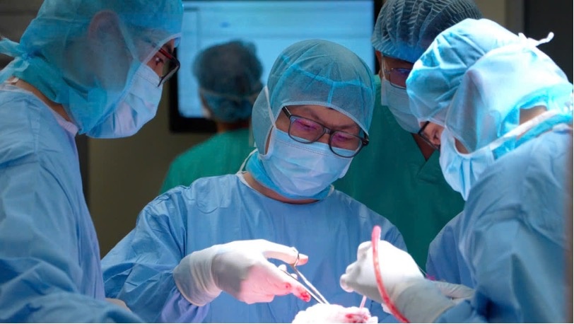 Nu vo su phat hien u nao to nhu qua cam tu con dau dau nhe hinh anh