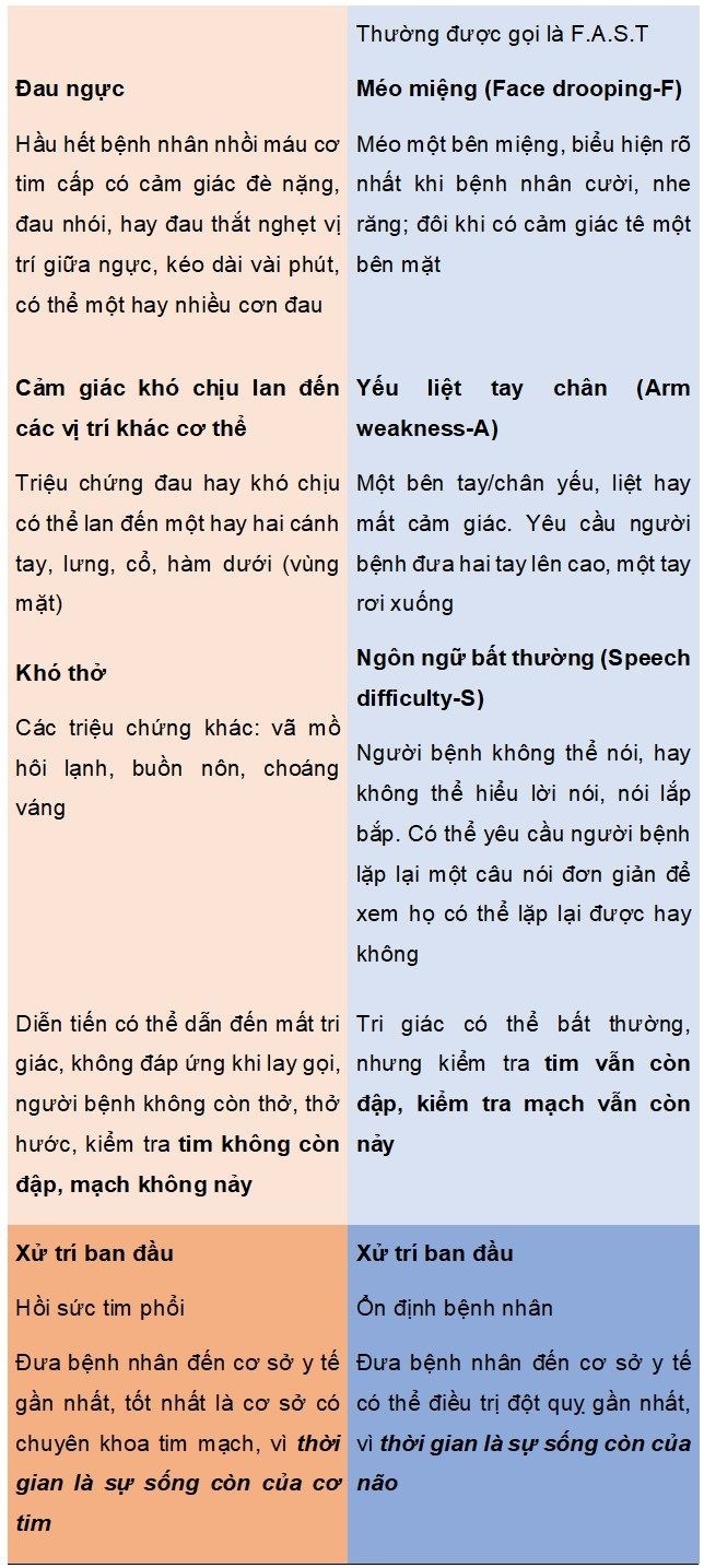 nhoi mau co tim anh 1