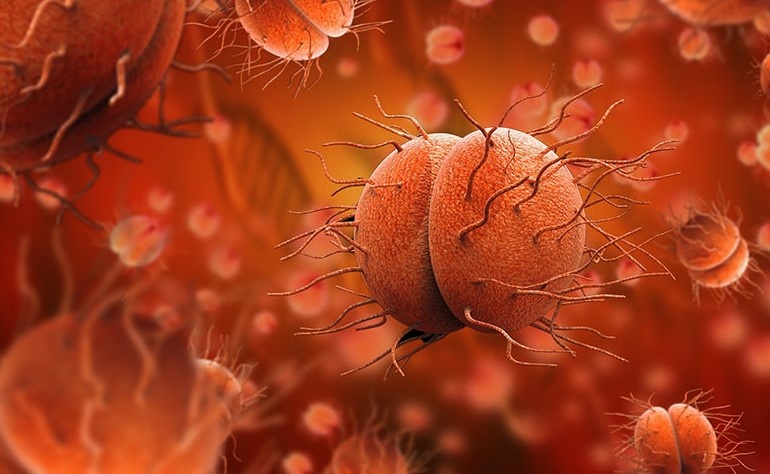 Benh lau nguy hiem nhu the nao? hinh anh