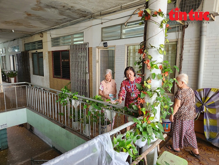 benh sot xuat huyet anh 7