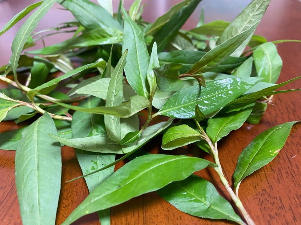 Rau ram co that su gay yeu sinh ly? hinh anh