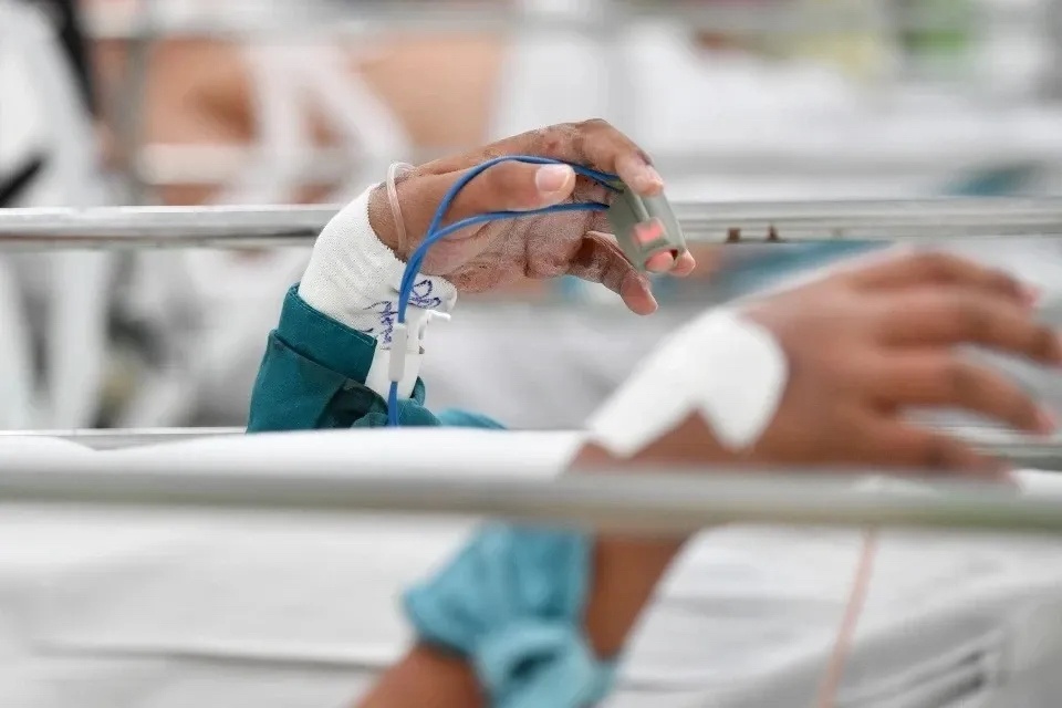 ca mac sot xuat huyet anh 1