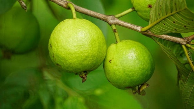 trai cay giau vitamin C anh 1