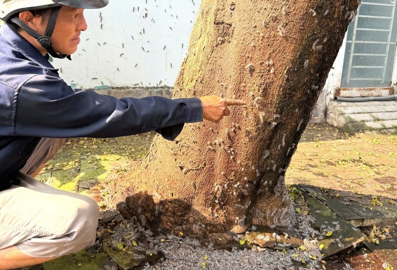 Sau rom tran vao nha dan o TP.HCM, bac si canh bao su nguy hai hinh anh