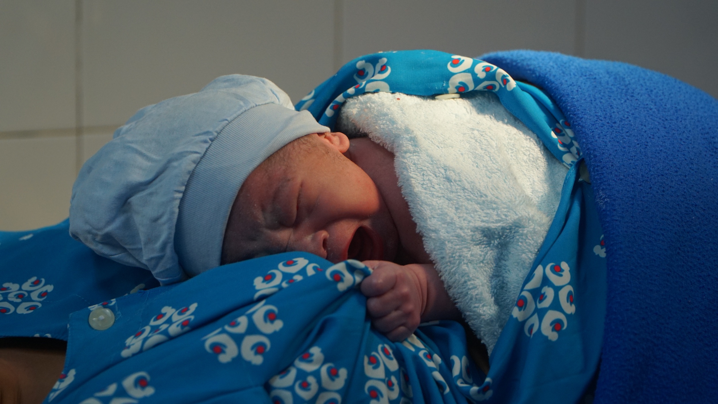 Nhung cong dan dau tien cua nam 2026 hinh anh