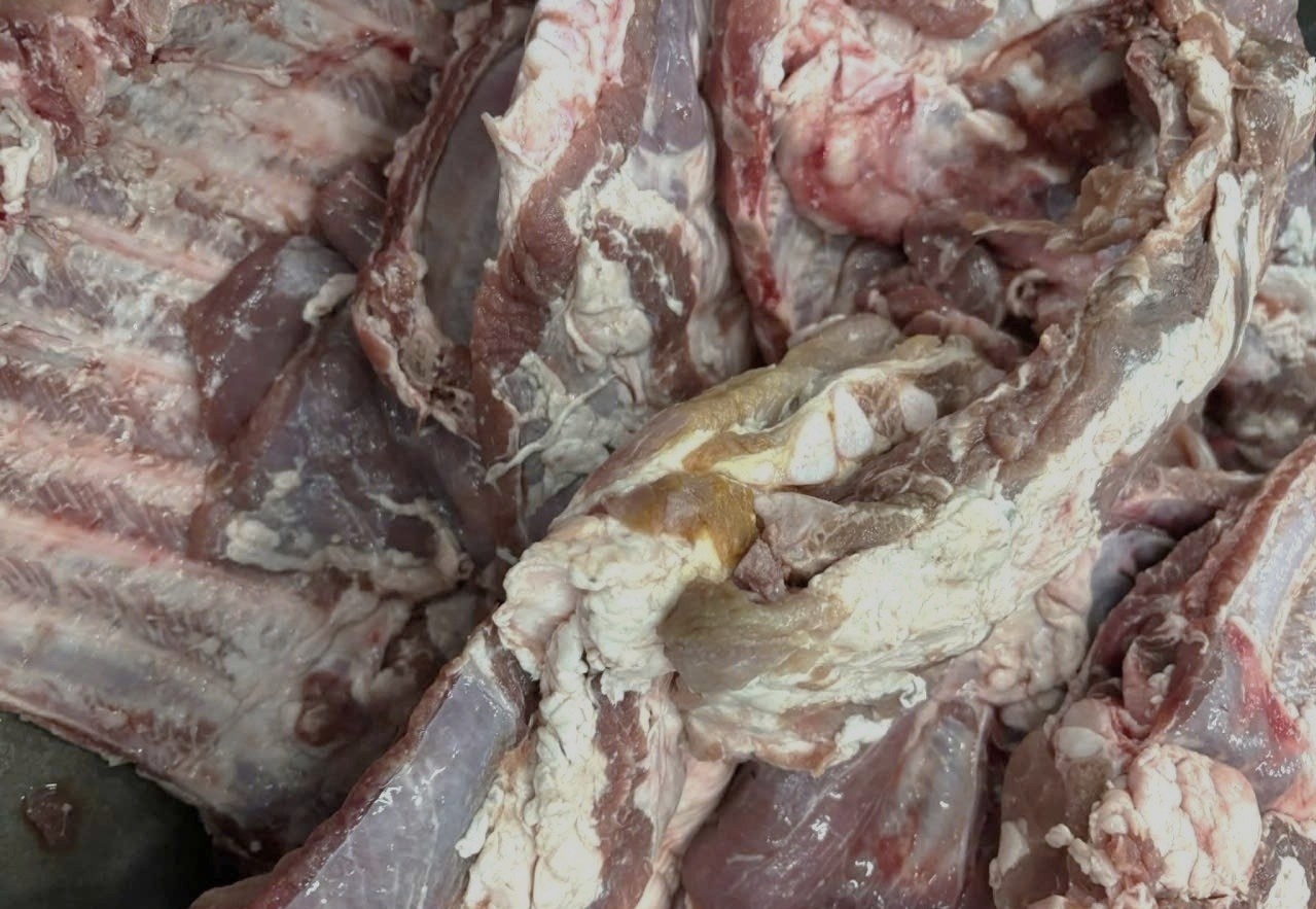 So ATTP TP.HCM chi dao khan vu nghi thit ban vao bep an truong hoc hinh anh