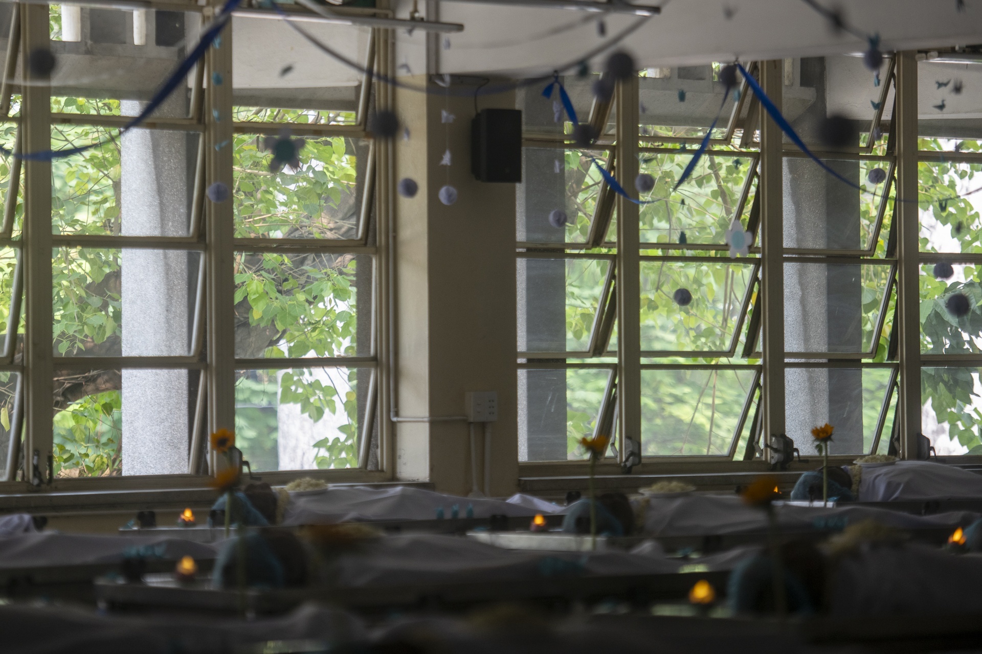 y học ảnh 4 y hoc anh 4