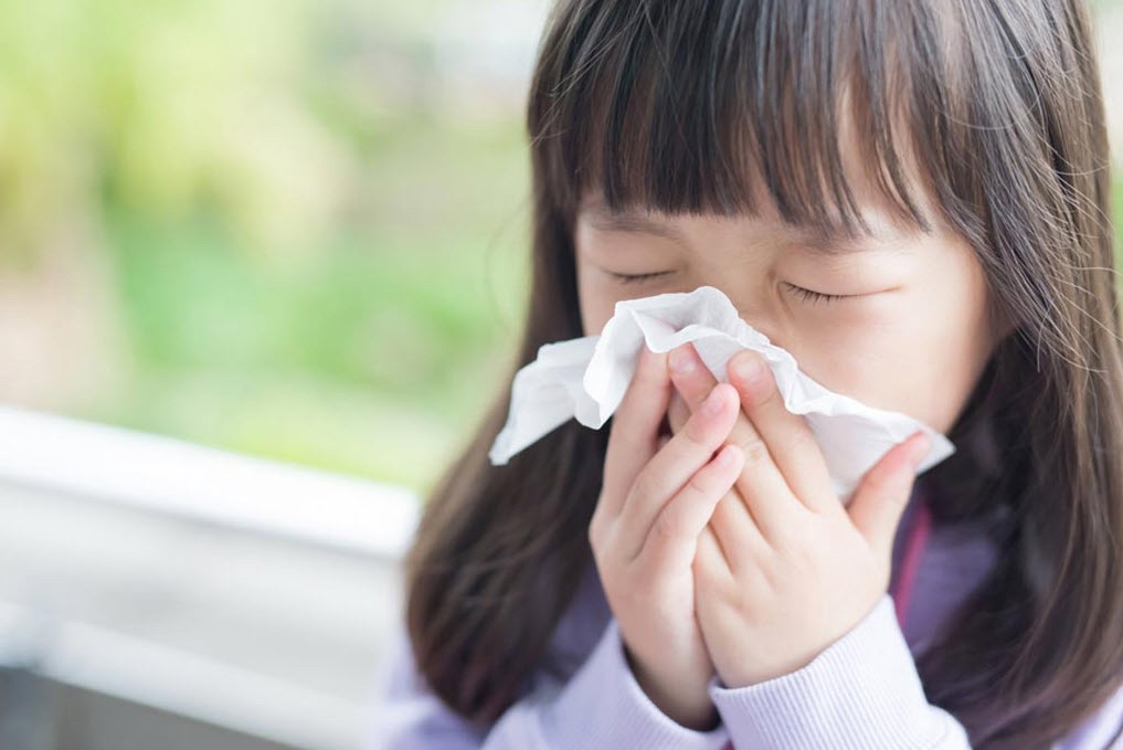 viem duong ho hap anh 1