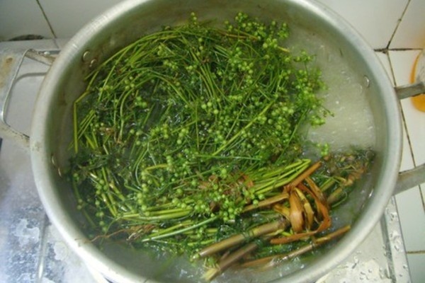 Tam nuoc mui gia co tac dung gi? hinh anh