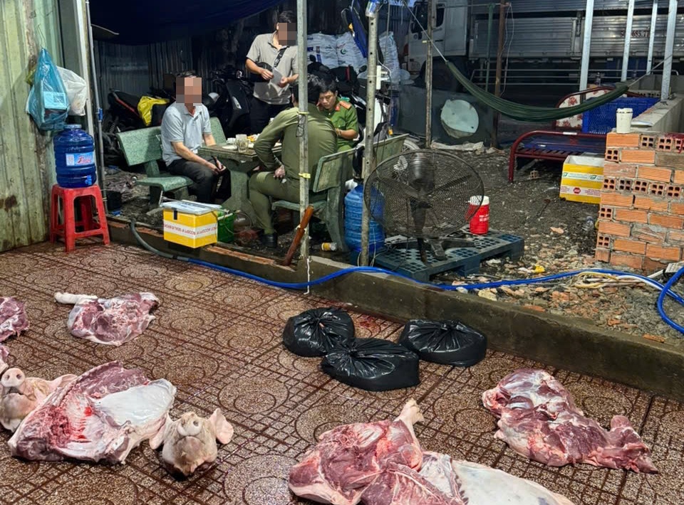 heo mo lau anh 1
