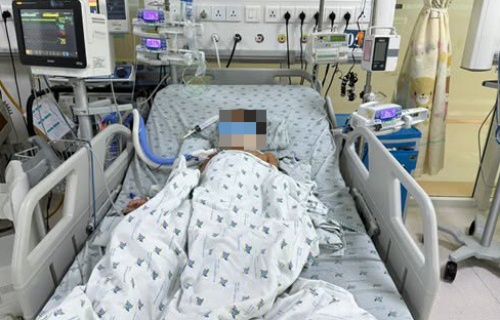 Ba chị em ngộ độc sau nhiều ngày ăn chuột đồng