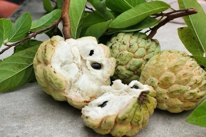 quả na ảnh 1
