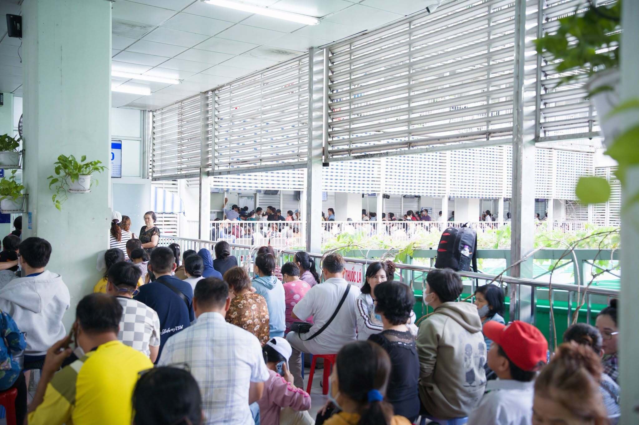 bệnh viện chợ rẫy ảnh 2 bệnh viện chợ rẫy ảnh 2